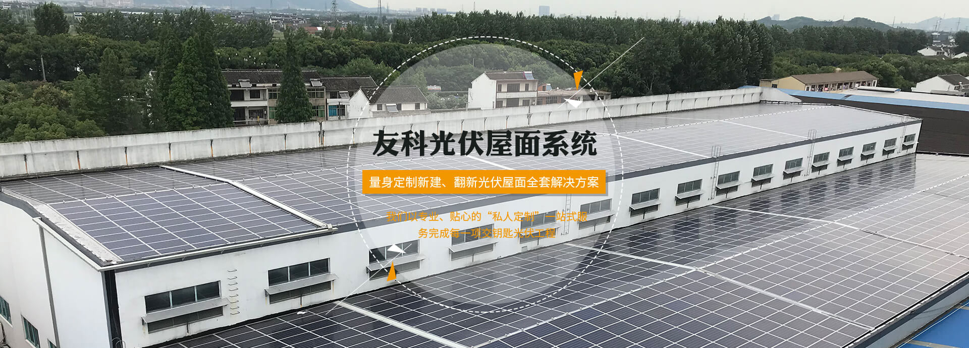 jinnianhui�����