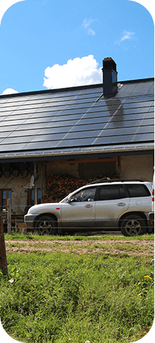 jinnianhui�����